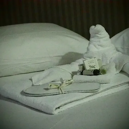 Aparthotel Art San Domenico Turin
