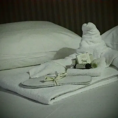 Art San Domenico 3* تورينو